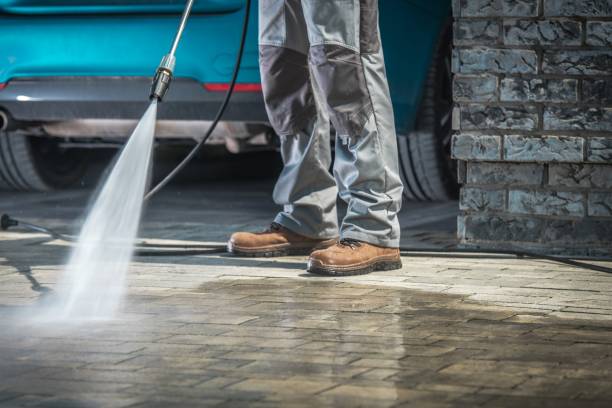 Best Fleet Vehicle Washing  in Lake City, IA